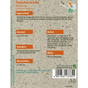 Grüne Fee Staudenwicke Mischung Saatgut Packung mit Fee, Lathyrus latifolius Blumensamen für Kletterpflanzen, Graspapier.