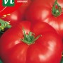 Tomate 'Marmande' Samen Ca. 0,5 g Reich an Vitamin A und C