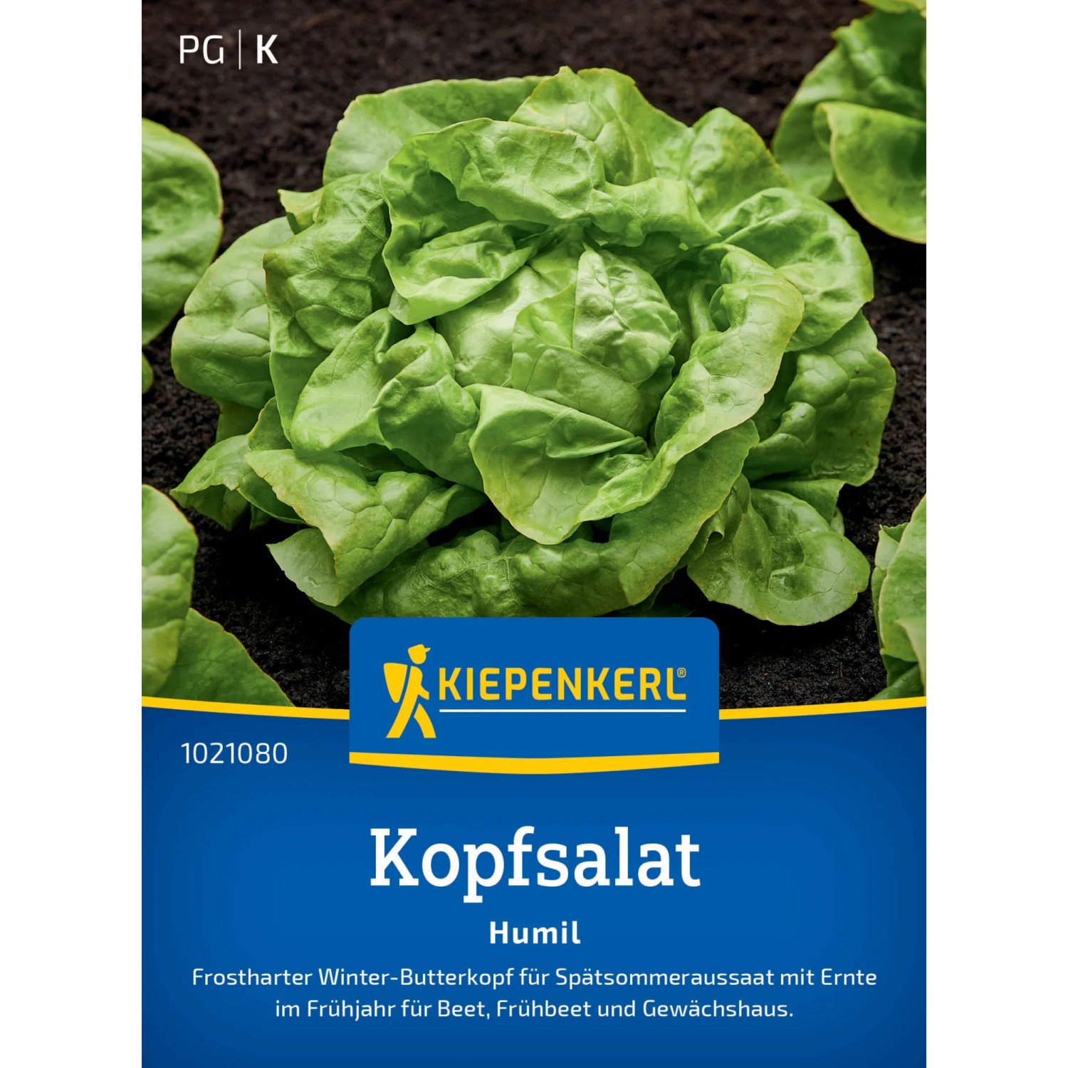 Kiepenkerl Kopfsalat "Humil"