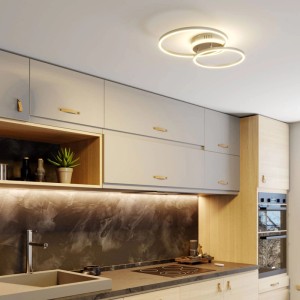 Moderne LED Deckenlampe Edica in Alu, dimmbar mit Leselampe, Smart Home Wohnzimmerleuchte.