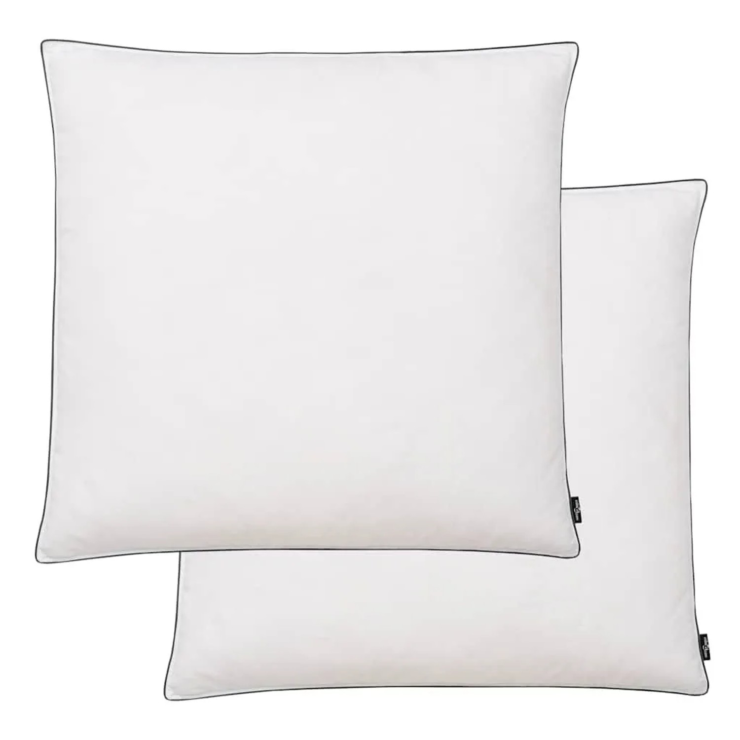 vidaXL Kissen 2 Stk Daunen-/Federfüllung Leicht 80x80 cm Weiß 132892