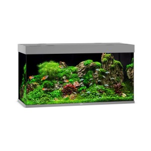 Graues Juwel Aquarium-Set Rio 350 mit Pflanzen, Fischen und Dekoration. Komplettset mit 350 l Fassungsvermögen.