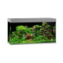Graues Juwel Aquarium-Set Rio 350 mit Pflanzen, Fischen und Dekoration. Komplettset mit 350 l Fassungsvermögen.