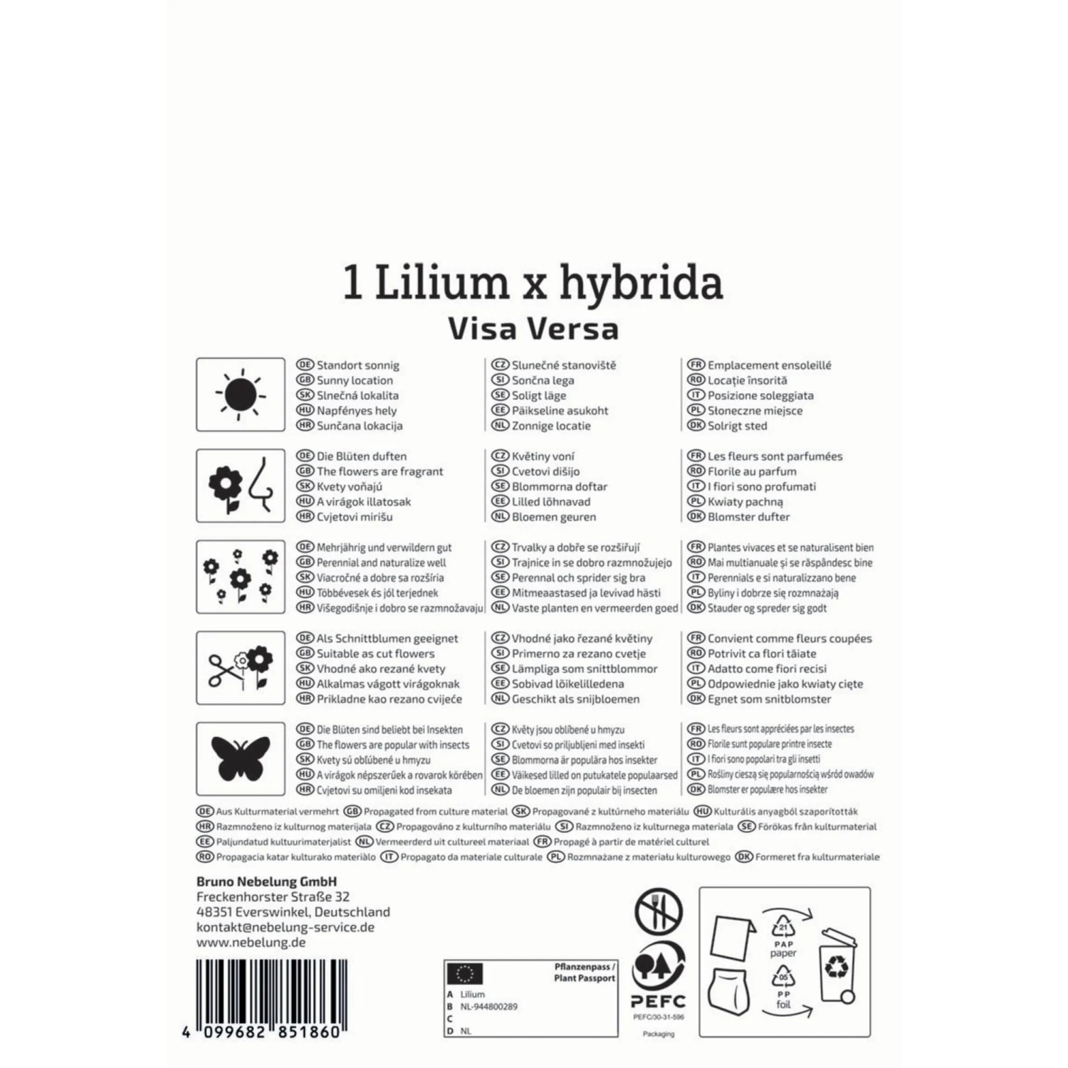 Verpackung der Kiepenkerl Blumenzwiebel Baumlilie Visa Versa mit Produktinformationen.