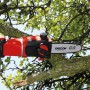 Einhell Akku-Hochentaster GE-LC 18 Li T Solo beim Beschneiden eines Astes.