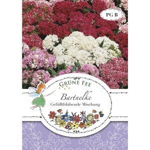 Saatgutpackung Grüne Fee Bartnelke, gefüllte Blüten in Weiß, Rosa und Rot.