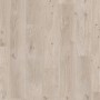 Parador Laminat Basic 200, 7mm, wasserfest, Eiche Natur Grau. Laminatboden in Holzoptik.
