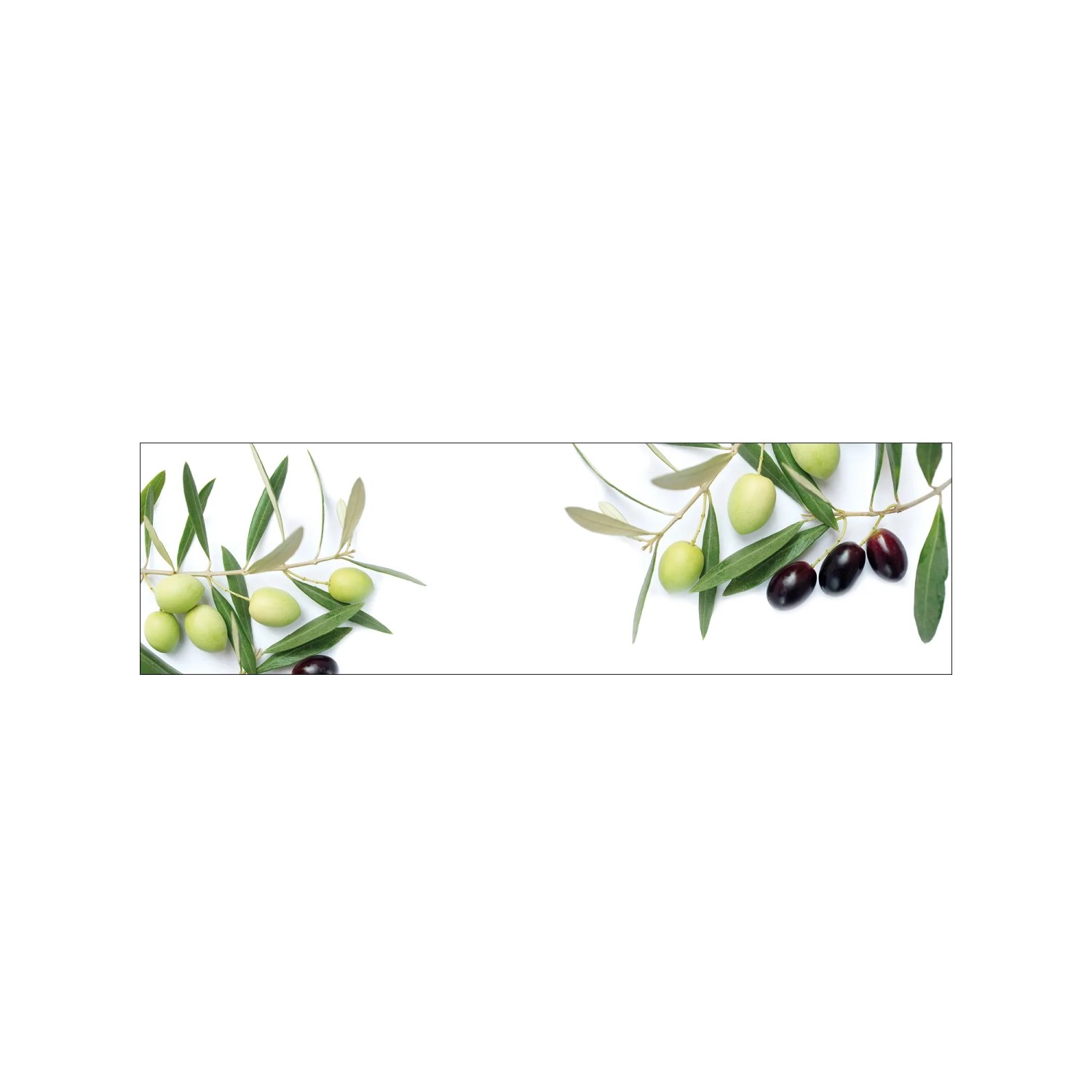 MySpotti Küchenrückwand Profix Cucina Olivenzweig 210 x 60 cm Olivengrün