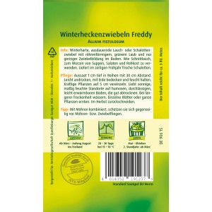Samentüte Winterhecken-Zwiebel 'Freddy': Winterharte Gemüsesamen für den Freilandanbau. Ideal zum Frischverzehr.