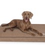 Hund liegt entspannt auf orthopädischer Knuffelwuff Hundematte Palomino XXXL, Farbe Camel.