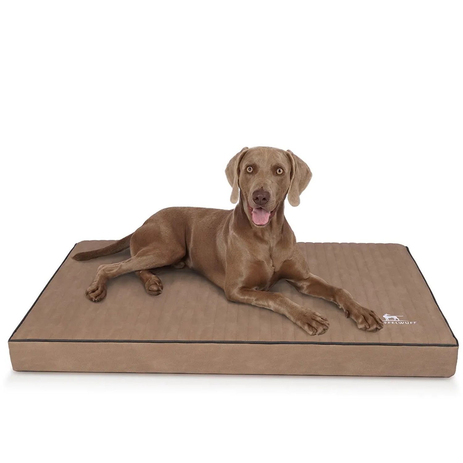 Hund liegt entspannt auf orthopädischer Knuffelwuff Hundematte Palomino XXXL, Farbe Camel.