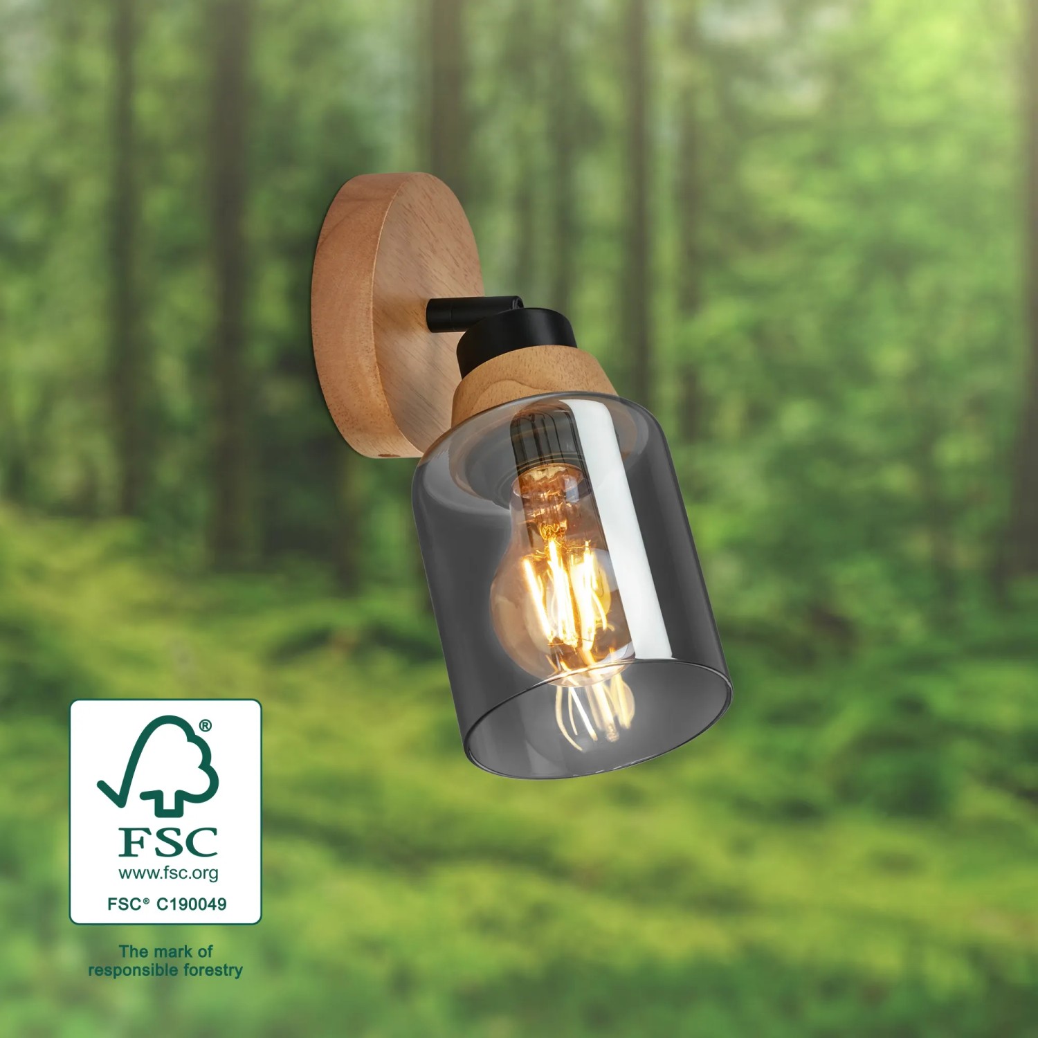 Brilo Wandleuchte Hema mit Rauchglas, Holzbasis und schwenkbarem Spotkopf.
