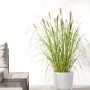 Weißer Ecopots Pflanztopf Oslo (25 cm) mit Ziergras, ideal für Innen- und Außenbereiche.