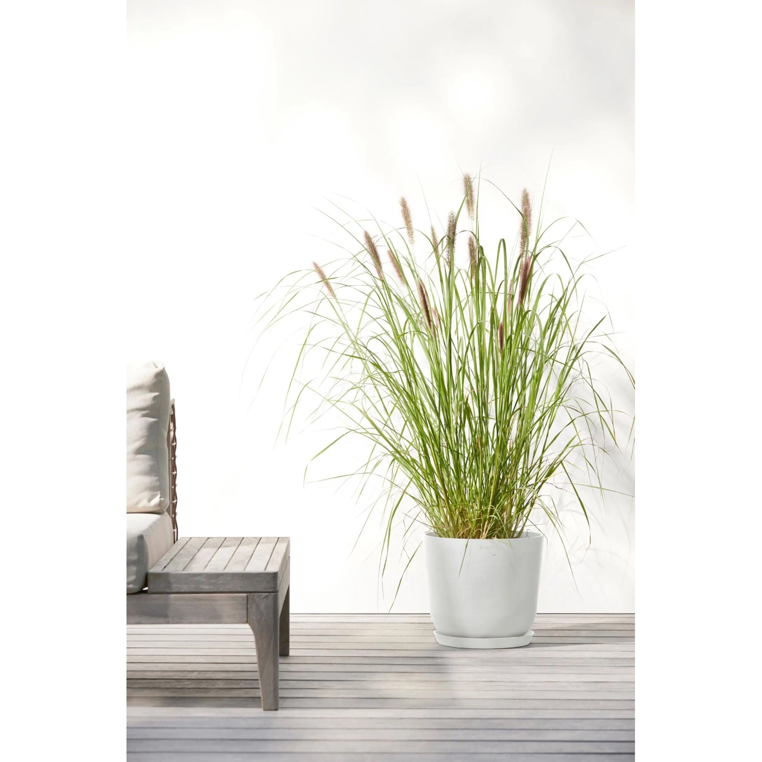 Weißer Ecopots Pflanztopf Oslo (25 cm) mit Ziergras, ideal für Innen- und Außenbereiche.