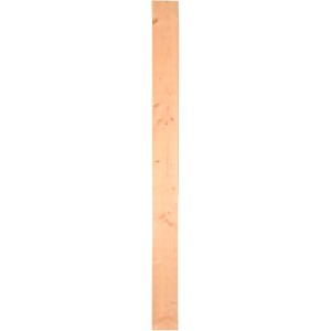 T & J Füllbrett aus Lärche für Aalborg Sichtschutzzaun, 14x180cm, naturbelassen.