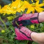 Pinke Floristikhandschuhe (Größe 7) mit PVC-Benoppung bei der Gartenarbeit.