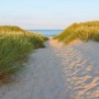 Komar Fototapete Sandy Path: Sandweg zum Meer, gesäumt von Dünengras. Natur Fototapete.