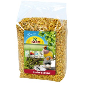 JR Farm Großsittichfutter Exoten-Schmaus 1kg im transparenten Beutel.