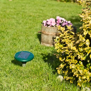 Windhager Wühlmaus-Vertreiber Solar im Rasen, schützt vor Wühlmäusen und Maulwürfen.