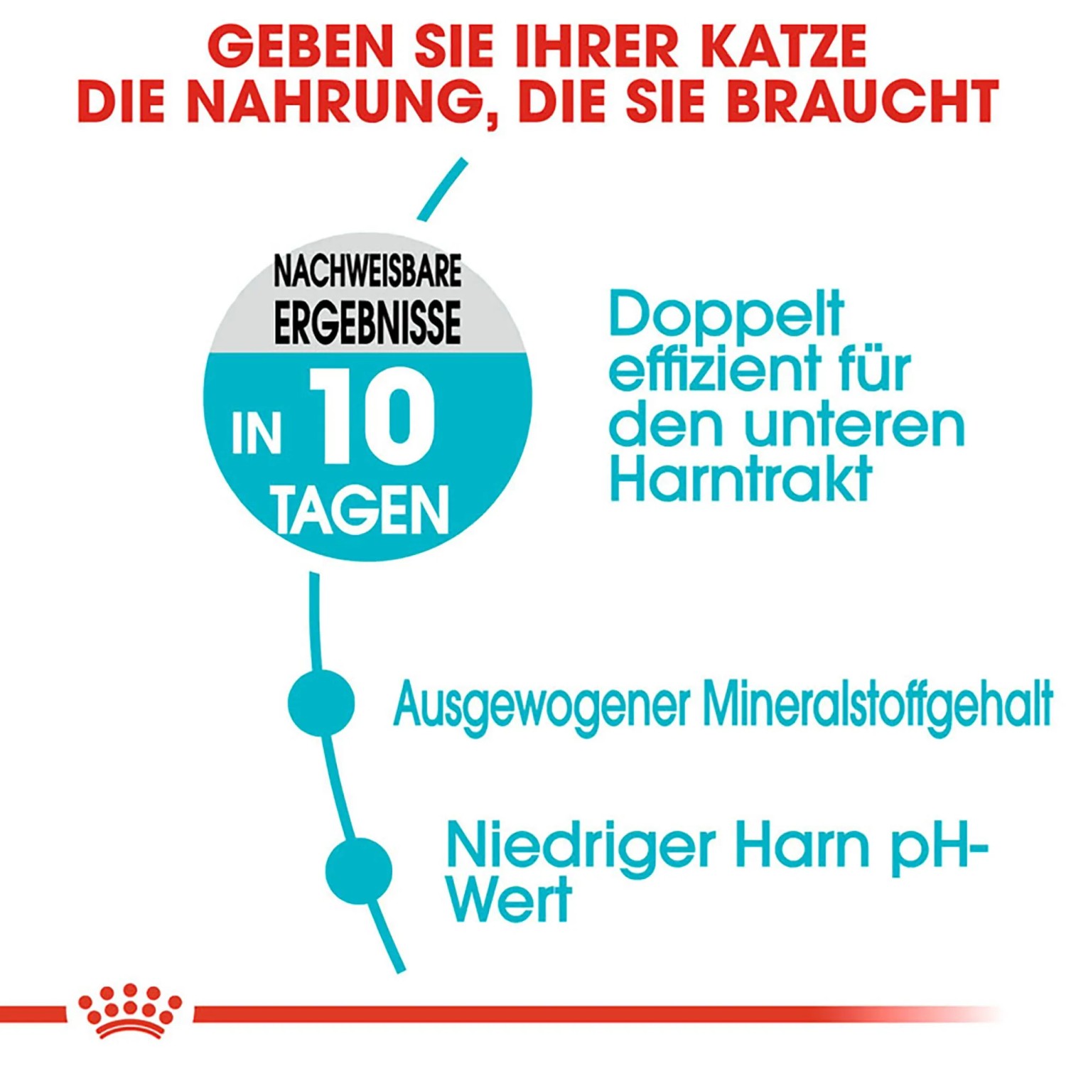 Royal Canin Urinary Care Katzenfutter: Vorteile für die Harnwege der Katze.