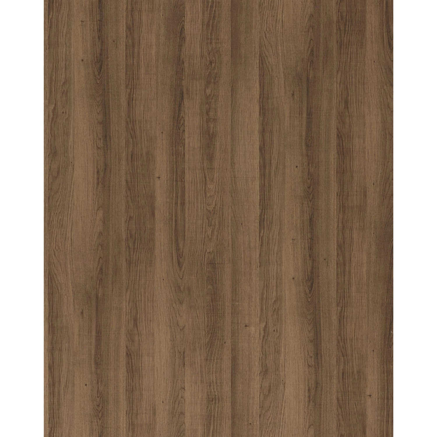 WALLFACE 25511 Sessile OAK Nature Wandpaneel in Holz Optik Matt Braun 2600 günstig online kaufen