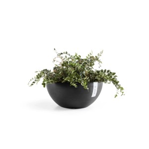 Ecopots Pflanztopf Brussels, dunkelgrau, 30x14 cm, mit Pflanze.