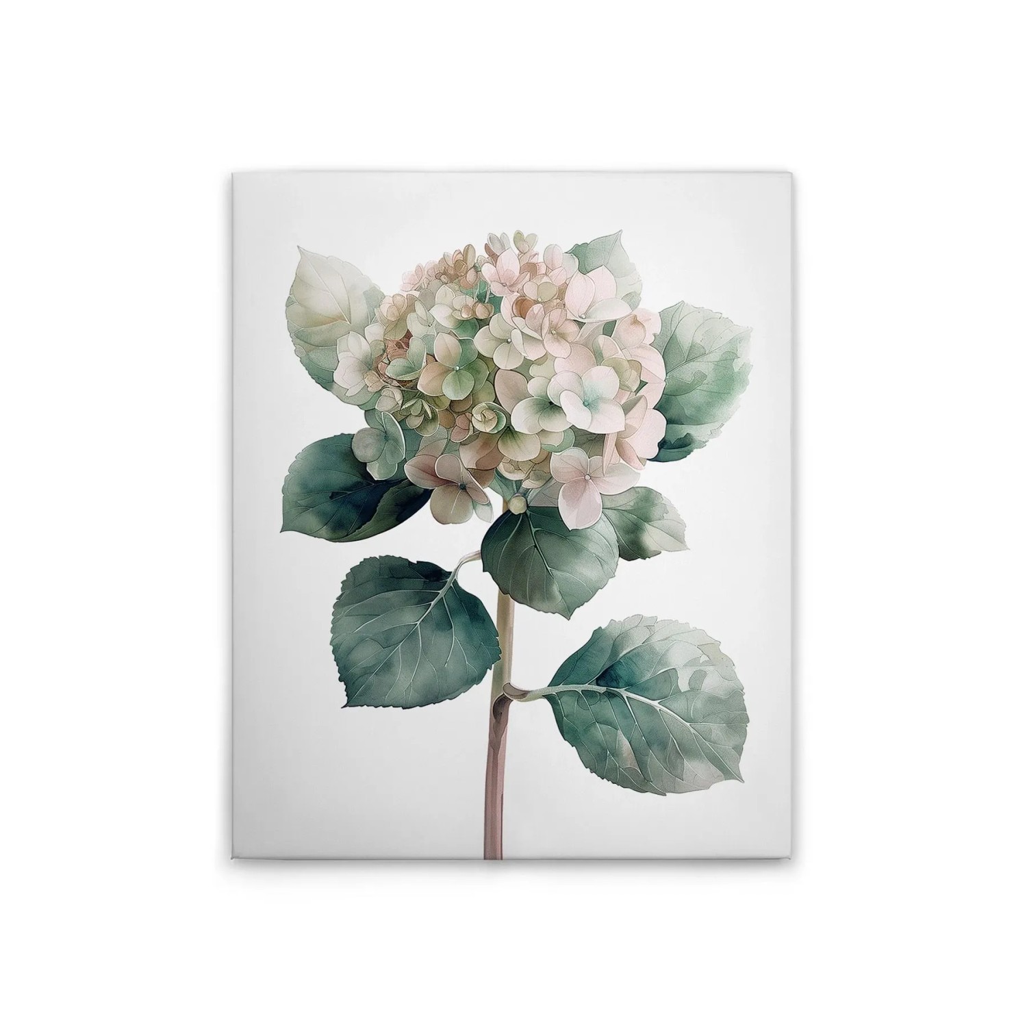 Tadessi Leinwandbild - M1-No.51824 - Hortensie Rose - 40 x 50 cm - Querformat
