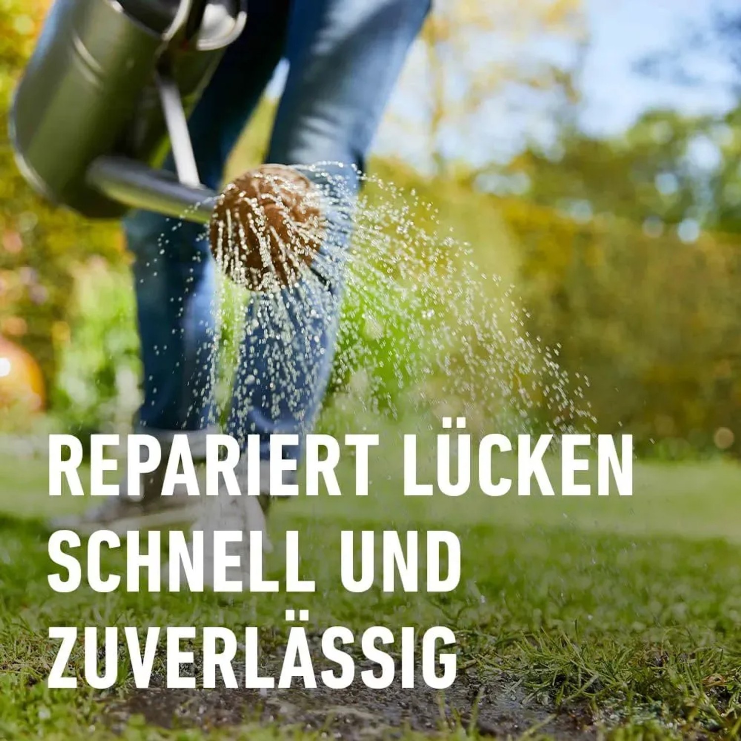 Gießkanne bewässert Rasen mit Compo Saat Rasen-Nachsaat zur Reparatur von Lücken.