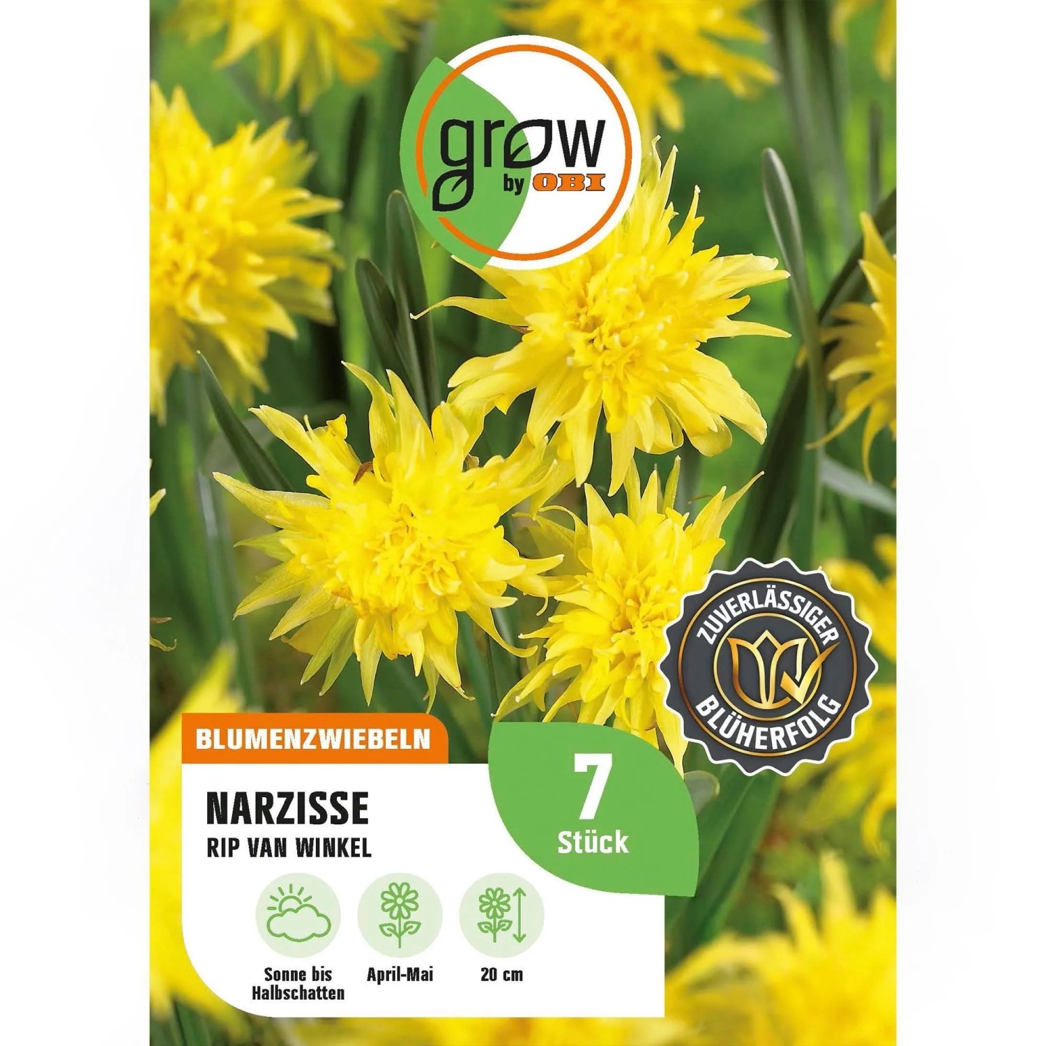 GROW by OBI Narzisse Rip van Winkel Gelb 7 St.Narcissus double Rip van Winkle
