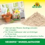 Neudorff Neudofix Wurzel-Aktivator: Algenmehl für optimales Wurzelwachstum von Jungpflanzen und Stecklingen.