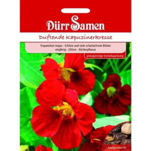 Dürr Samen Kapuzinerkresse Rot Rankend Saatgut. Packung mit leuchtend roten Blüten und Samenansicht. Kletterpflanze.