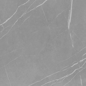 Graue, matte Feinsteinzeug Bodenfliese 60x60 cm mit Marmorierung für Innenräume.