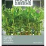 Microgreens Markerbsen Buzzy Microgreens Samen Ca. 15 g Ernte nach 7 Tagen