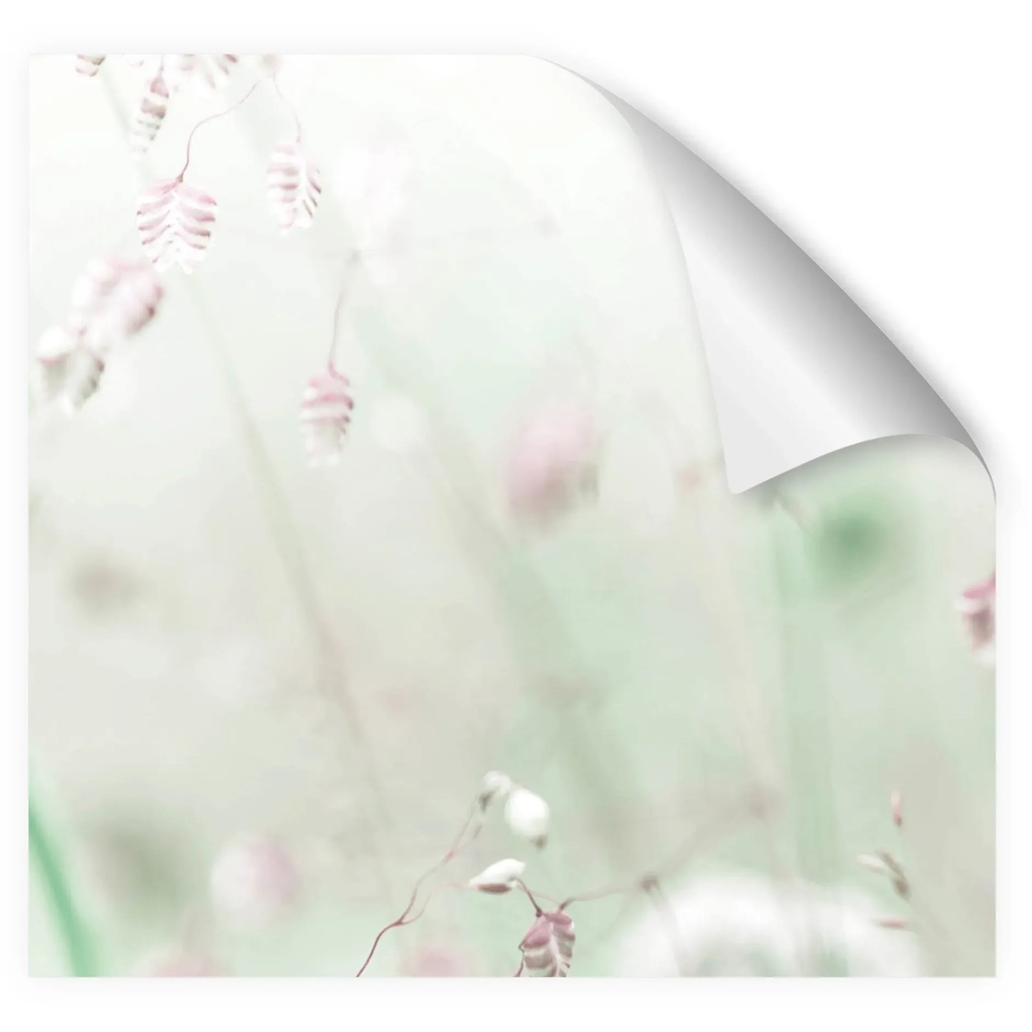 Myspotti Küchenrückwandfolie Wildblumen, selbstklebend, 280x60 cm.