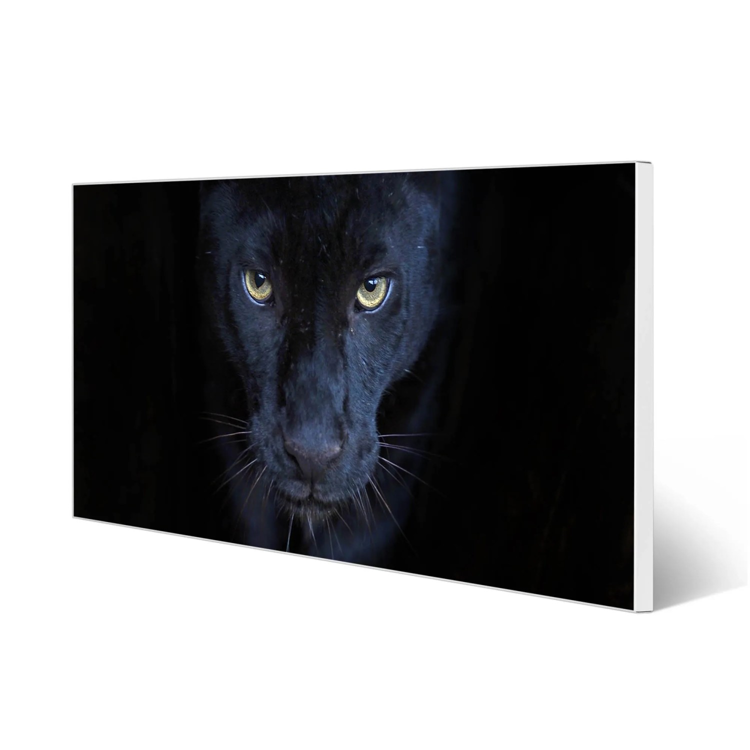 Banjado Magnettafel 78x37cm mit Panther Motiv Nora, weiße Magnetwand für Notizen und Fotos.