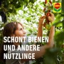 Frau behandelt Tomatenpflanze mit Compo Ortiva Pilz-frei. Rosenschutz für gesunde Pflanzen.