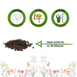 Kohlrabi Superschmelz Samen: Darstellung von Aussaat, Erntezeit und Gewicht mit Samen im Vordergrund.