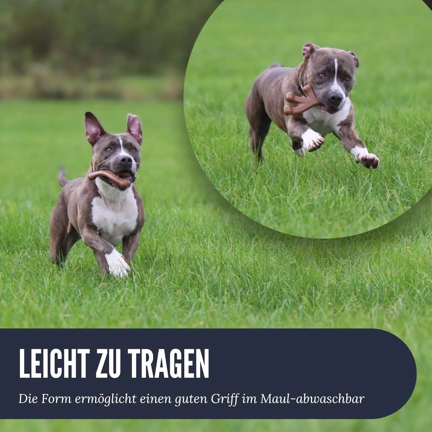 Supravit ChewDeer Beef Geschmack Kauspielzeug für Hunde_7