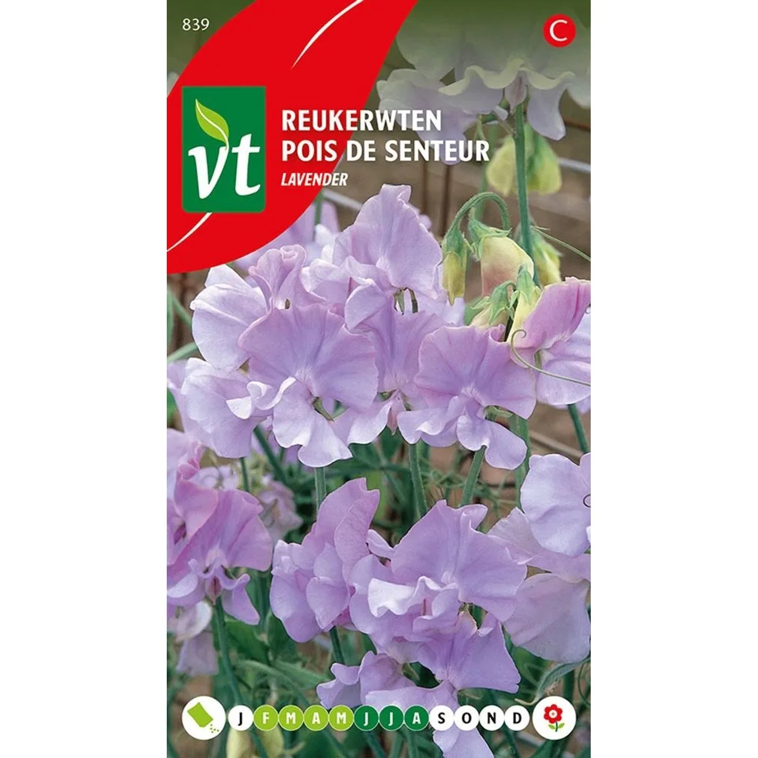 Duftwicke 'Lavendel' Samen Ca. 3 g Duftende Blüten