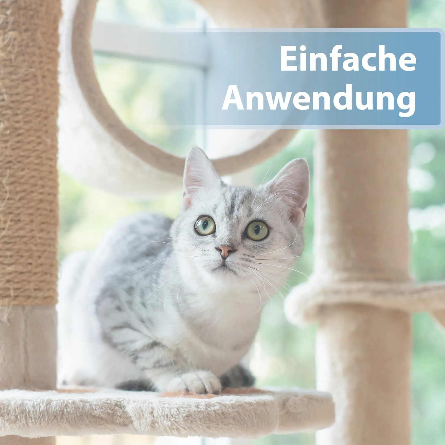Katze sitzt auf Kratzbaum, Hinweis auf einfache Anwendung der Felisept Ohrpflege Finger-Pads.