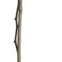 Weinrebe Blau und Weiss im Topf, ca. 150-175 cm hoch, geeignet zur Begrünung von Wänden und Pergolen.