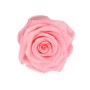Rosa Rose in Rosenbox, Ø 5 cm, weiß-roségold. Dekorative, haltbare Blume für Blumensträuße.