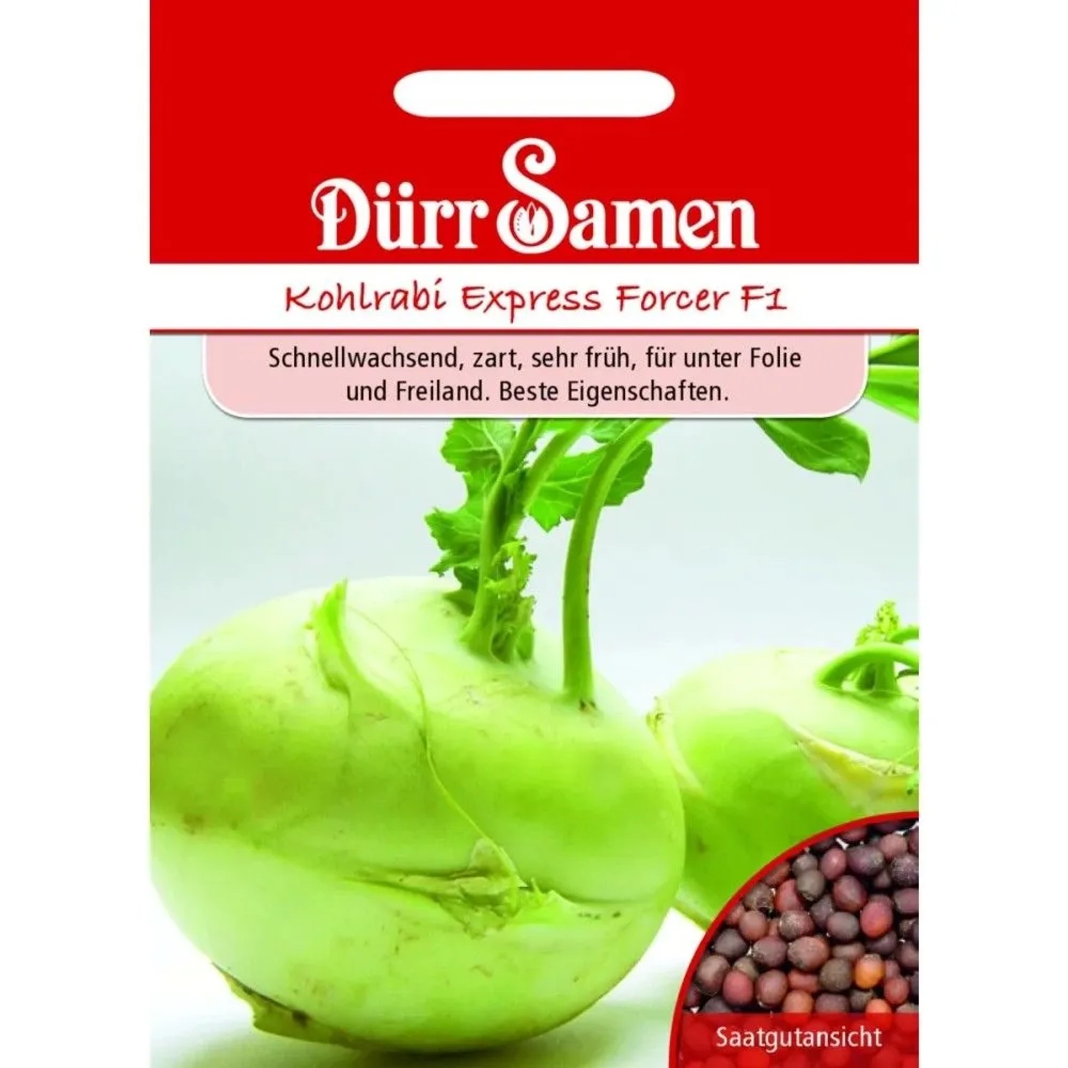 Dürr Samen Kohlrabi Express Forcer F1 Saatgut