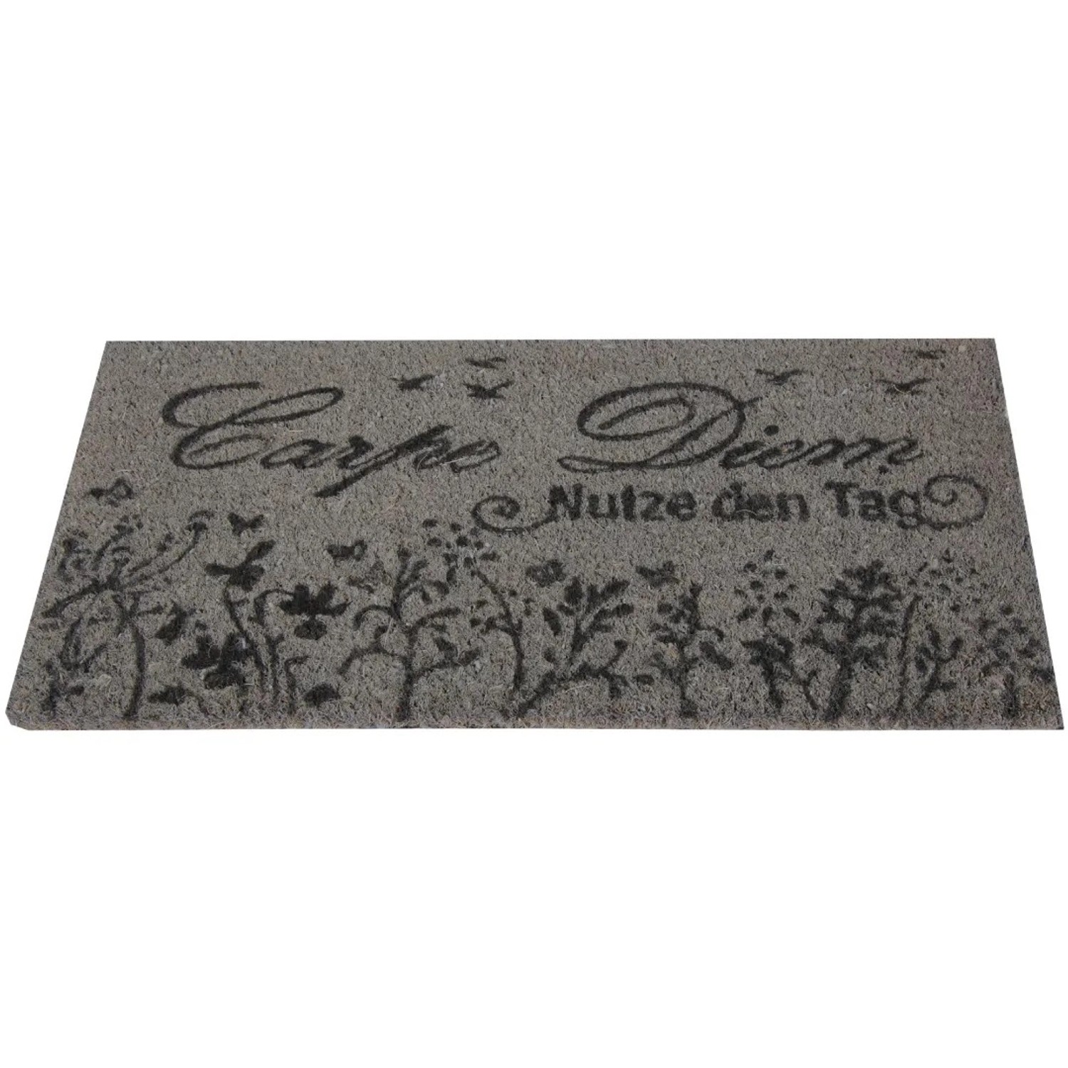 Bestlivings Kokos Fußmatte 40 x 60 cm Carpe Diem Grau