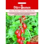 Dürr Samen Roma-Tomaten Ravello F1: Saatgutpackung mit reifen, roten Roma-Tomaten am Strauch.
