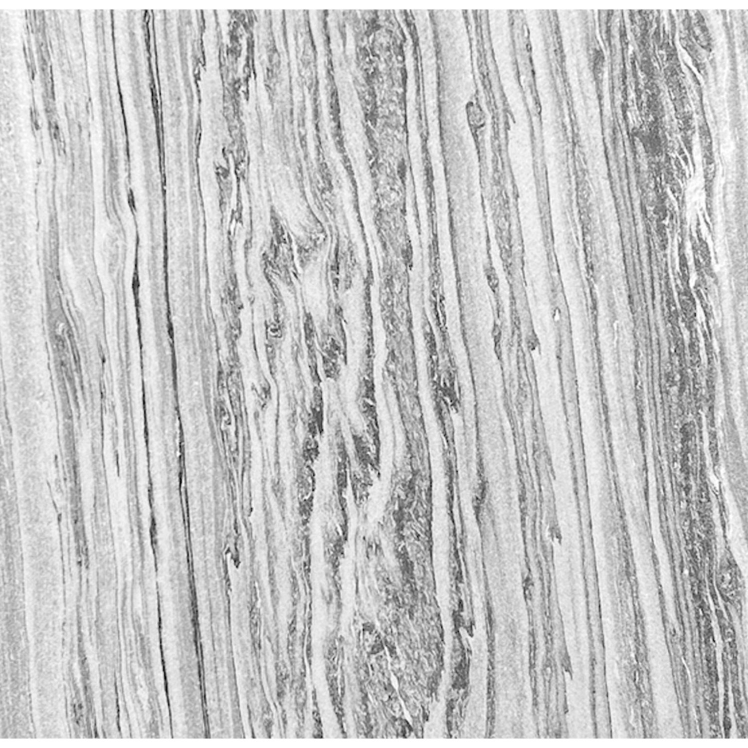 Jangal Wandpaneel Modular Wall Arctic Marble Stone Panel 52 x 52 cm günstig online kaufen