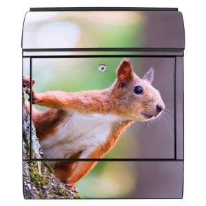 Schwarzer Banjado Briefkasten mit Eichhörnchen Motiv und Zeitungsfach.