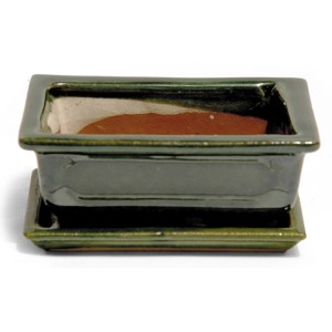 Grüne Bonsai Schale mit Unterteller, Ø 15cm, für die stilvolle Präsentation und Pflege von Bonsai Bäumen.