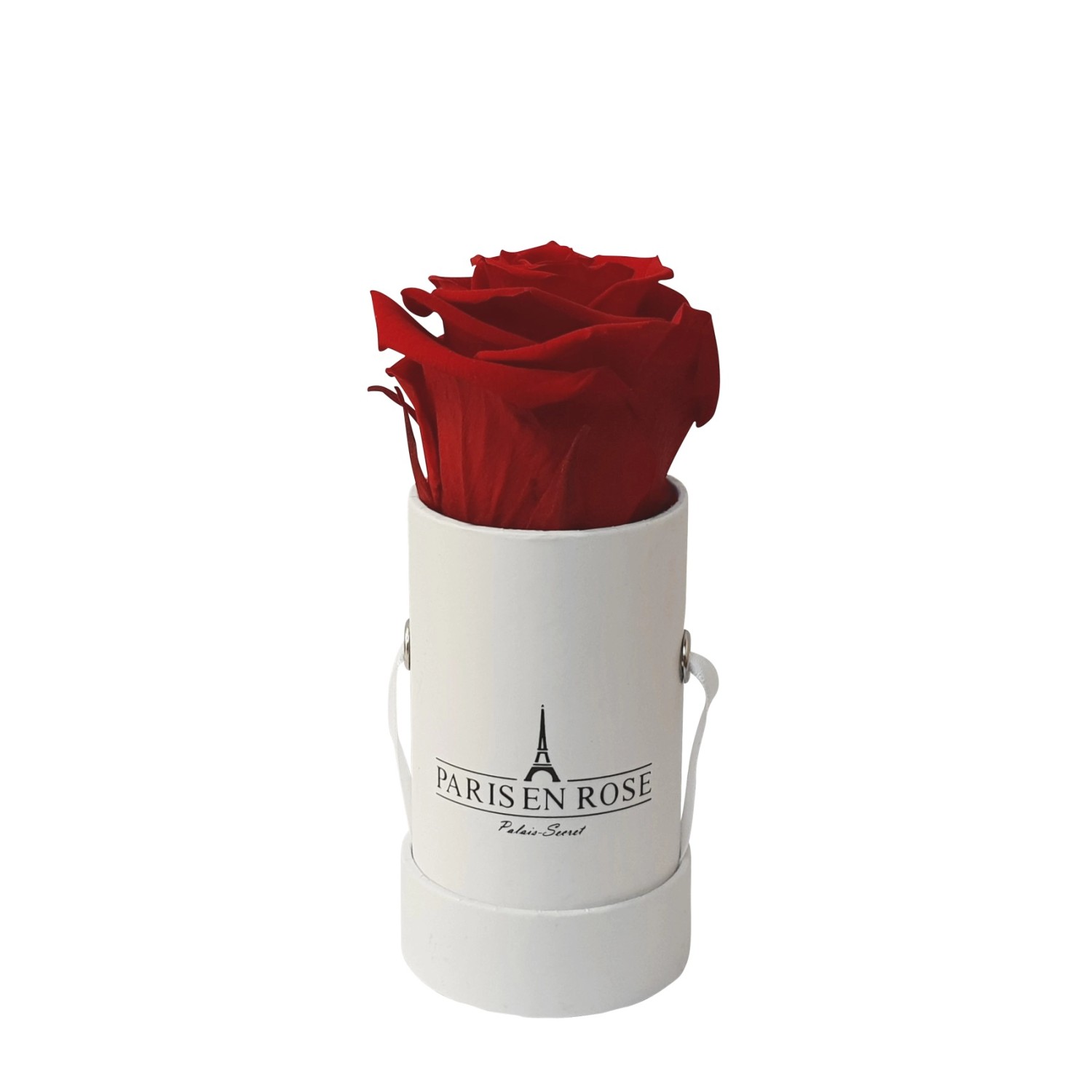 Rosenbox Ø 5 cm Weiß mit einer Bordeaux Rose