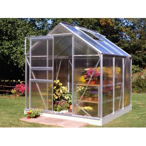 Halls Gewächshaus Popular 66 Alu, 3,8 m² mit Pflanzen und Regalen im Garten.